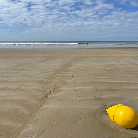 Apartment Le Cocon De L'ocean Saint-Hilaire-de-Riez